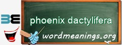 WordMeaning blackboard for phoenix dactylifera